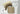 Mohair by Canard - Kid Mohair 1ply - Enkeldraads - Pluche Wol en Garens