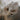 Seasons of Stitches - Pluche Wol en Garens
