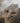 Seasons of Stitches - Pluche Wol en Garens