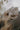 Seasons of Stitches - Pluche Wol en Garens